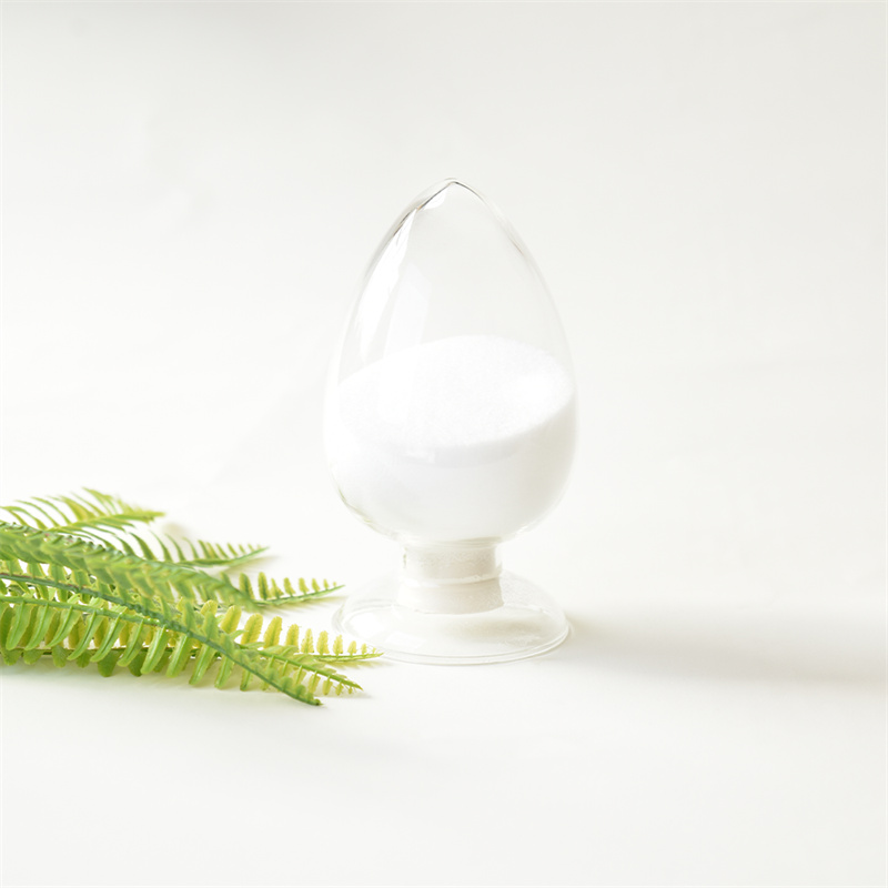 Citicoline sodique CAS 33818-15-4